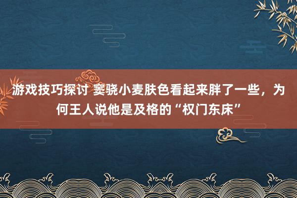 游戏技巧探讨 窦骁小麦肤色看起来胖了一些，为何王人说他是及格的“权门东床”