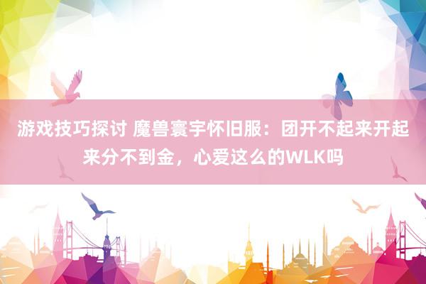 游戏技巧探讨 魔兽寰宇怀旧服：团开不起来开起来分不到金，心爱这么的WLK吗