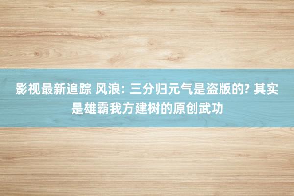 影视最新追踪 风浪: 三分归元气是盗版的? 其实是雄霸我方建树的原创武功