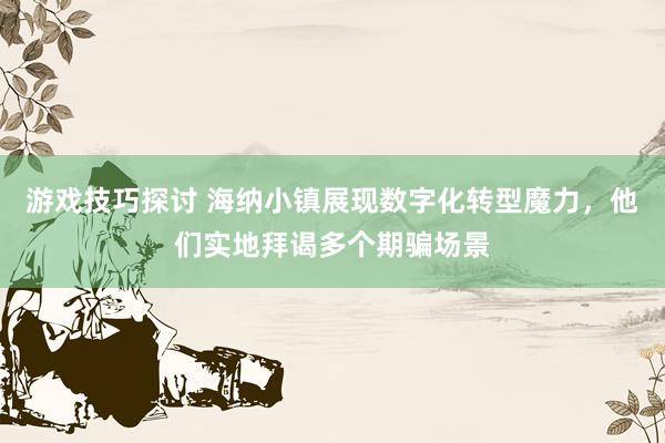 游戏技巧探讨 海纳小镇展现数字化转型魔力，他们实地拜谒多个期骗场景